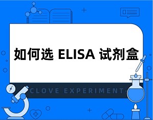 丁香实验推荐阅读
