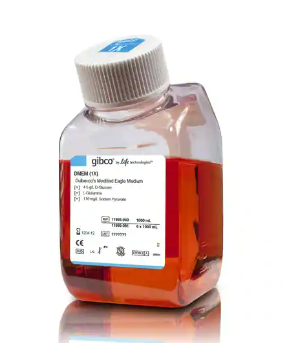 RPMI 1640 培养基、GlutaMAX™ 补充剂