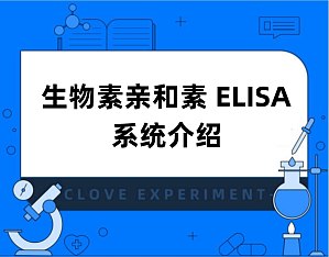 丁香实验推荐阅读
