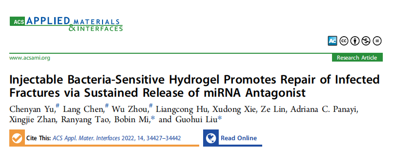 康测科技助力华中科技大学同济医学院协和医院骨科刘国辉教授团队发表Appl. Mater. Interfaces