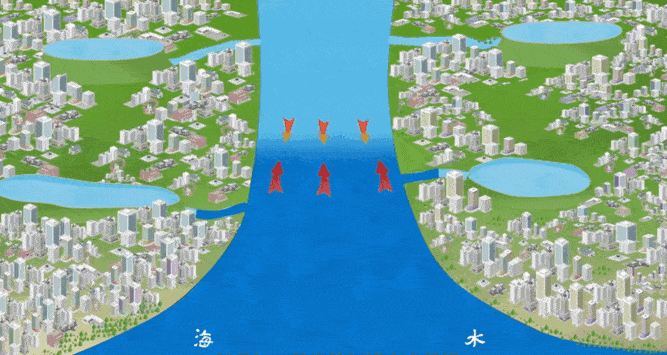 咸潮数次入侵？水质检测不容忽视！