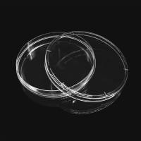 12411 150mm细胞培养皿（易握型）