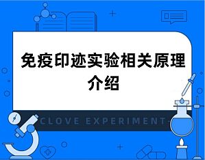 丁香实验推荐阅读