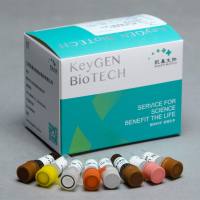 一步法TUNEL细胞凋亡原位检测试剂盒，升级装（红色TRITC标记荧光检测法，通用型）KGA1405-50