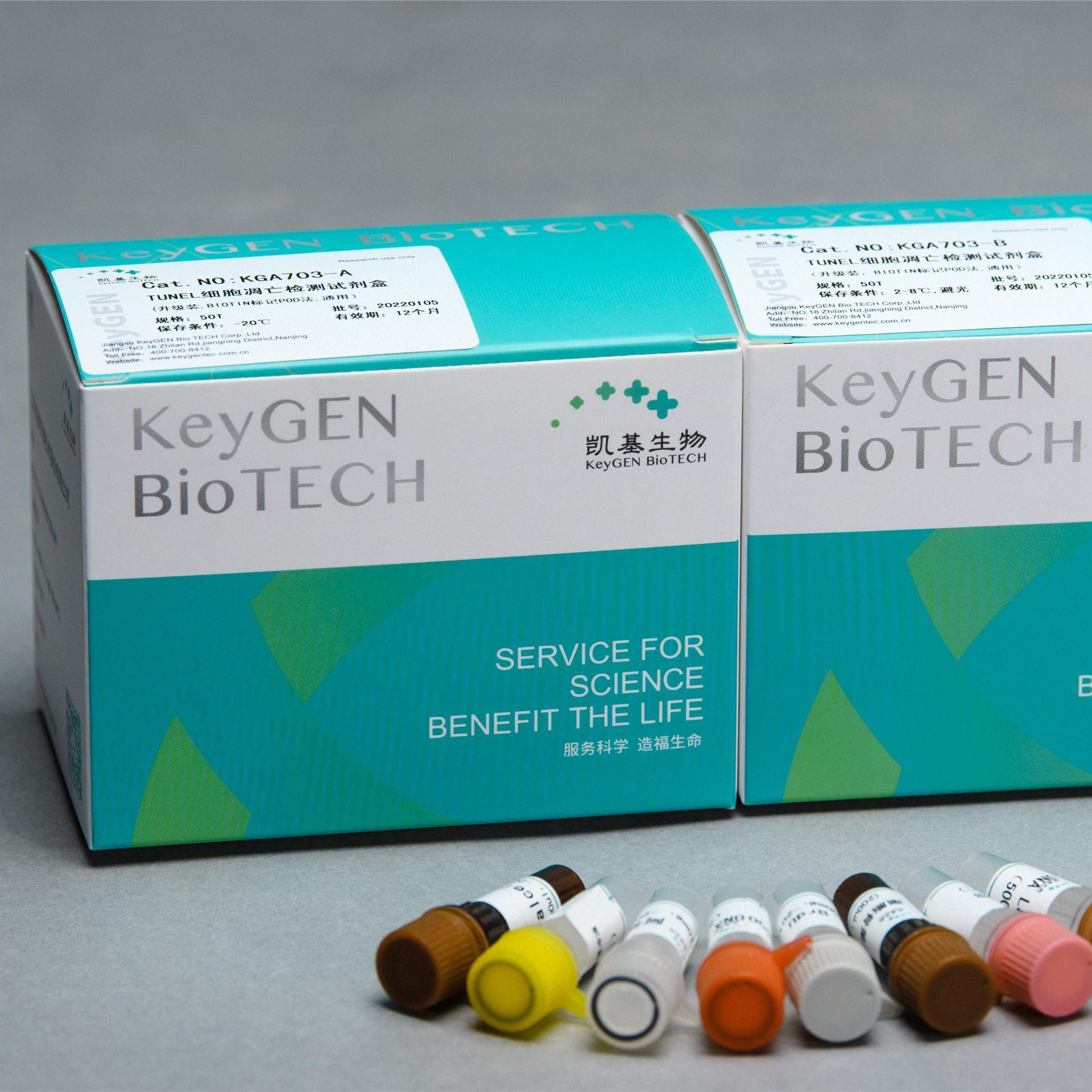 TUNEL 细胞凋亡检测试剂盒，升级装（BIOTIN 标记 POD 法, 高敏型）