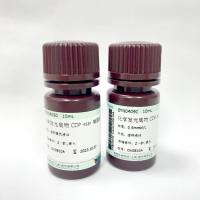 Seebio® 化学发光CDP-star底物系统