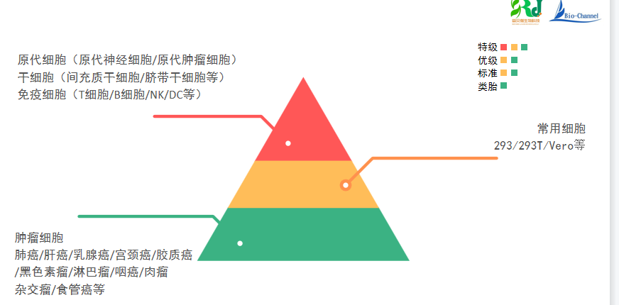 胎牛血清试用推荐方案