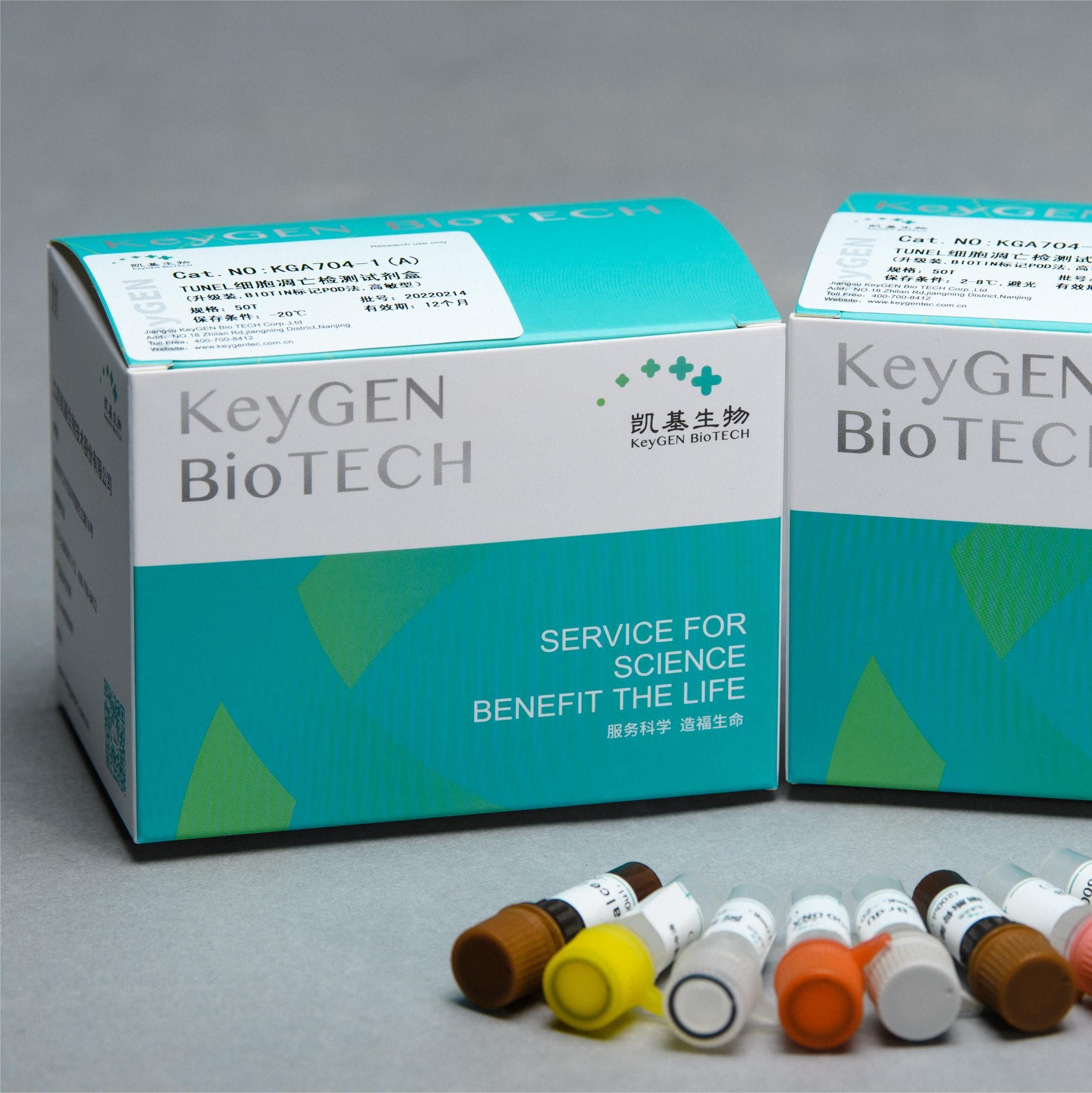 TUNEL细胞凋亡检测试剂盒（BIOTIN标记POD法 通用）KGA1401-100