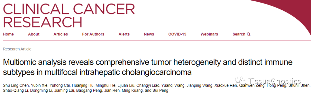 Tissue Cytometry技术联合多组学测序揭示ICC肿瘤异质性与新型免疫表型分类