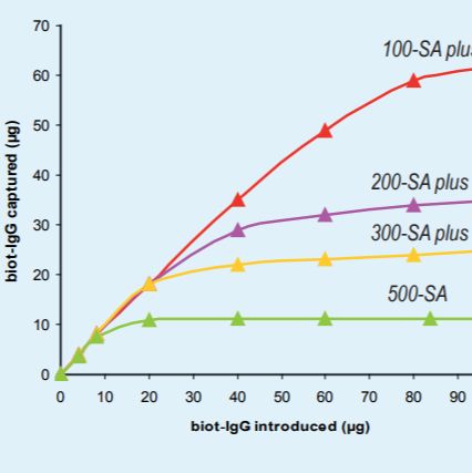 法国Ademtech Streptavidin链霉亲和素超顺纳米磁珠
