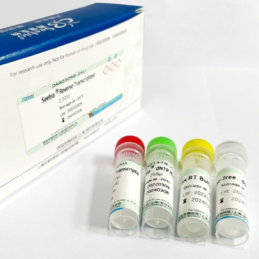 Seebio® sTaq DNA Polymerase (不含dNTP，free Mg2+ Buffer)