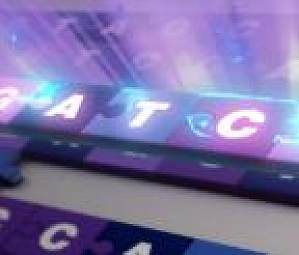 丁香实验推荐阅读