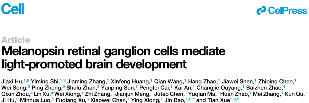 Cell：重要发现！薛天/鲍进团队最/新研究表明适宜的光刺激可促进新生期大脑发育