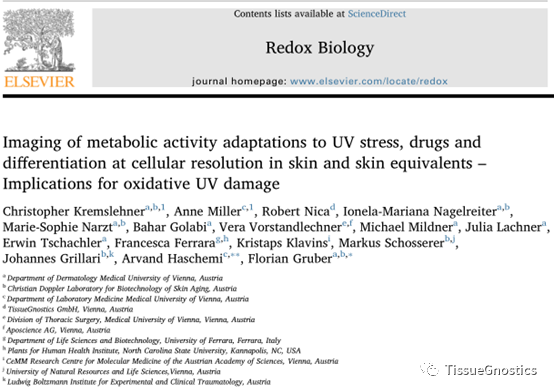 二甲双胍能逆转衰老？——Tissue Cytometry技术在表皮组织中氧化应激与抗衰老研究