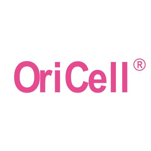OriCell®Collagenase Type I (0.1%) 一型胶原蛋白酶