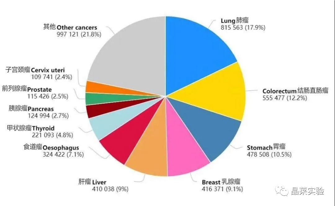 新闻图片2