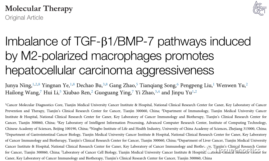 利用Tissue Cytometry多重免疫荧光定量分析技术实现肝细胞癌治疗靶点的精准筛选