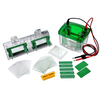 CAVOY(凯元） Mini P-4小型垂直电泳两块胶系统，1.5 mm MP-8006