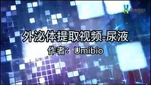 丁香实验推荐阅读