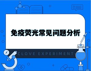 丁香实验推荐阅读