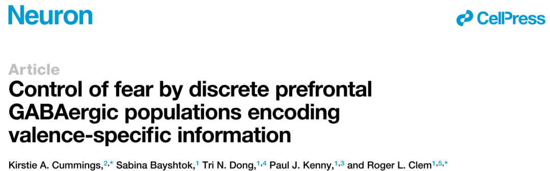 Neuron：奖励可以克服恐惧？还得前额叶抑制性中间神经元说了算