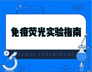 丁香实验推荐阅读