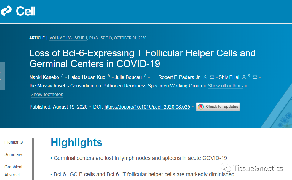 细胞间相互作用关系与组织环境中的复杂细胞表型分析研究