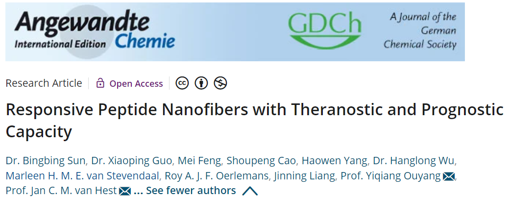 【文献速递】纳米纤维在肿瘤成像中的应用取得新进展