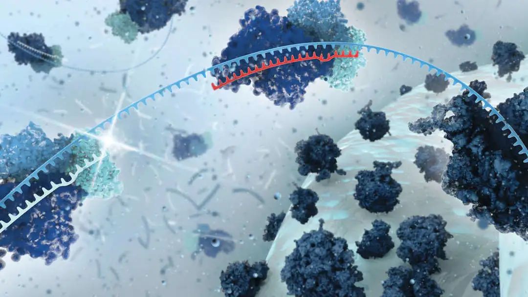 【Nature 子刊】miRisk，会成为更好的免疫治疗预后指标吗？