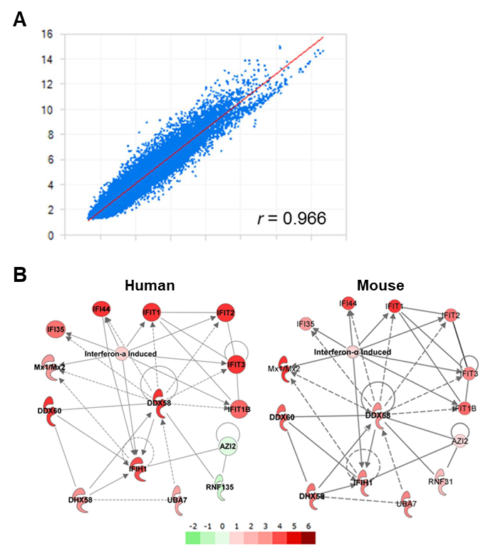 【文献解读】不只是应对新冠，mRNA 疫苗为治愈癌症注入希望