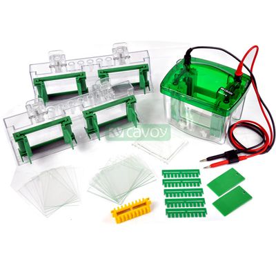 CAVOY(凯元） Mini P-4小型垂直电泳四块胶系统，1.5 mm MP-8005