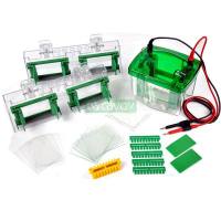 CAVOY(凯元） Mini P-4小型垂直电泳四块胶系统，1.5 mm MP-8005