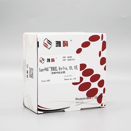 LK306 SuperPAGE™ 预制胶，Bis-Tris，12%，15孔(含MOPS电泳液)