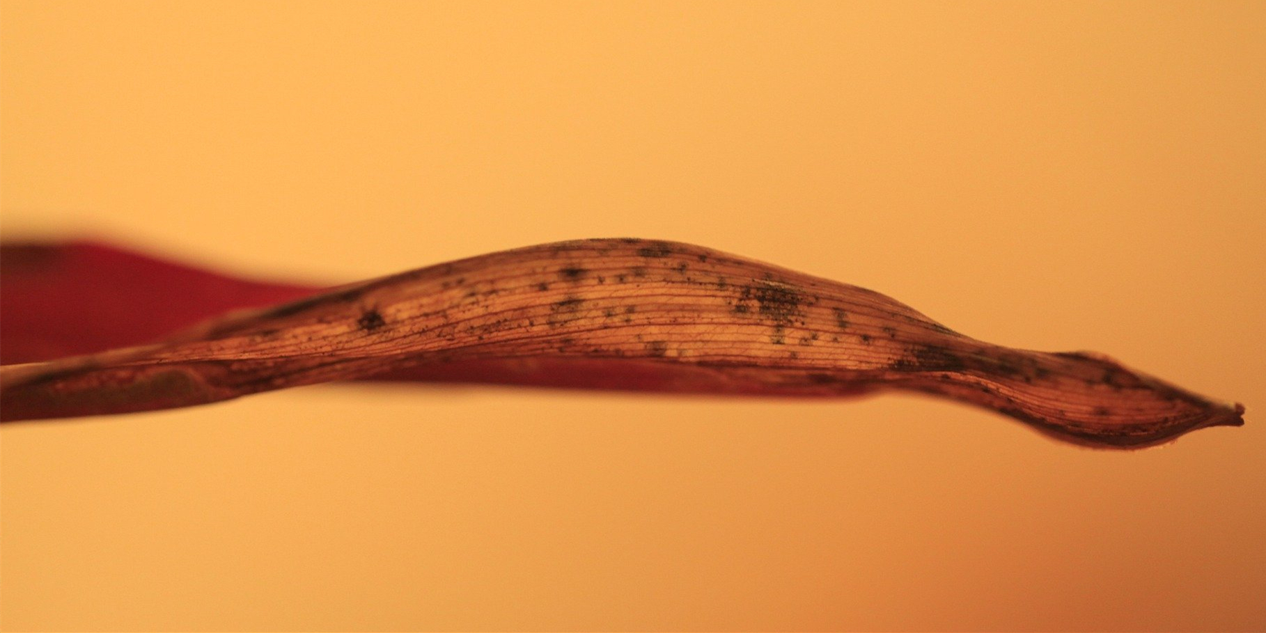 博士后基金和国家自然科学基金申请连续失败后，如何坦然面对？