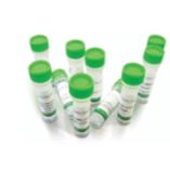 荧光法β-半乳糖苷酶检测试剂盒 绿色荧光