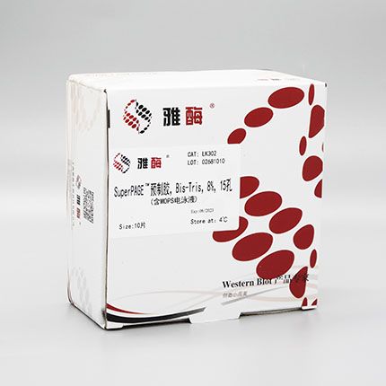 LK302 SuperPAGE™ 预制胶，Bis-Tris，8%，15孔(含MOPS电泳液)