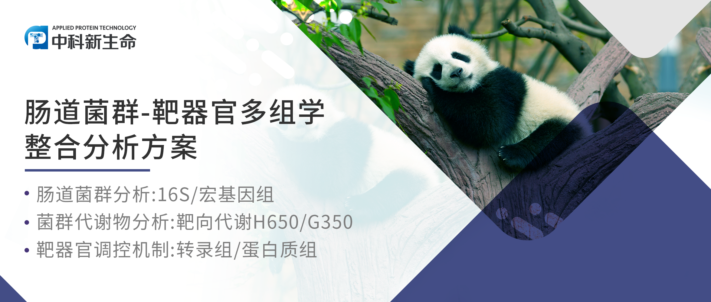 项目文章 | 宏基因+代谢助力圈养大熊猫育儿方式研究