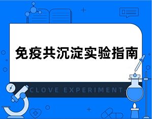 丁香实验推荐阅读