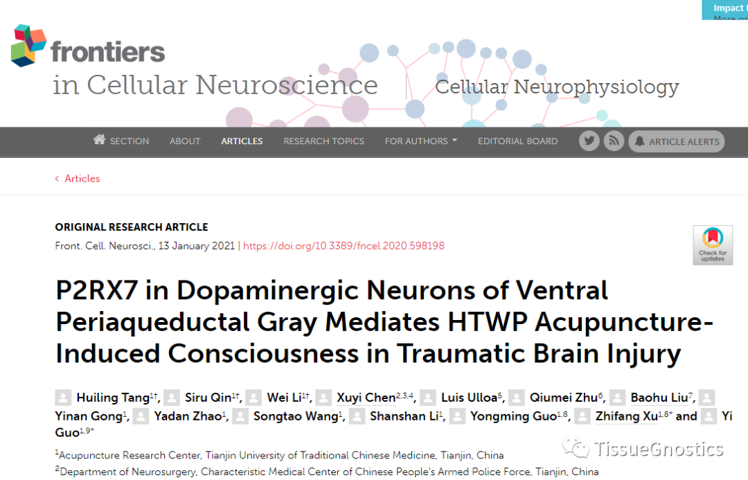 手十二井穴刺络调节嘌呤能受体P2RX7蛋白改善创伤性脑损伤引起的昏迷