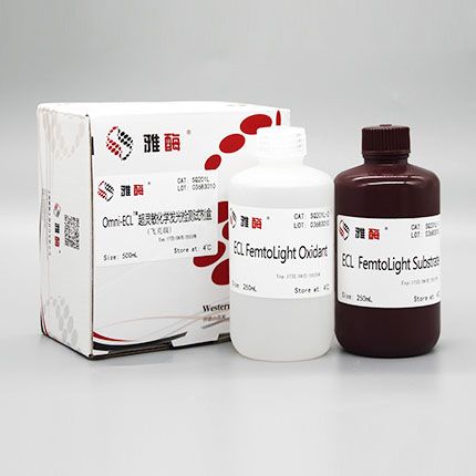 SQ201L Omni-ECL™ 超灵敏化学发光检测试剂盒