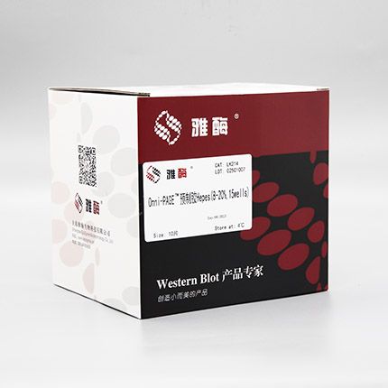 LK214 Omni-PAGE™ 预制胶 Hepes 8~20%,15 wells