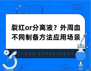丁香实验推荐阅读