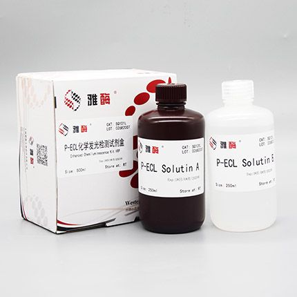 SQ101L Omni-ECL™增强型化学发光检测试剂盒（皮克级）