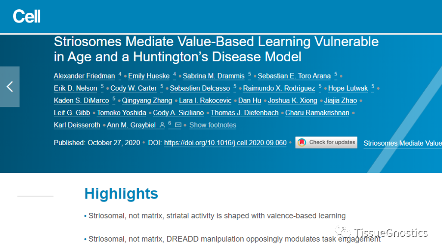 CELL|TissueFAXS SL Q+再次助力MIT McGovern神经环路机制研究