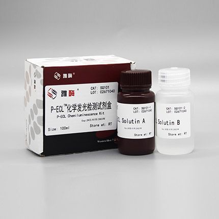 SQ101 Omni-ECL™增强型化学发光检测试剂盒（皮克级）