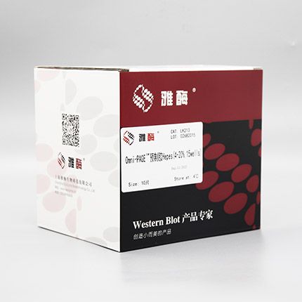 LK213 Omni-PAGE™ 预制胶 Hepes 4~20%,15 wells