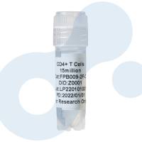 CD4+T细胞 | CD4 分离服务 | 人CD4细胞 | 分选CD4细胞