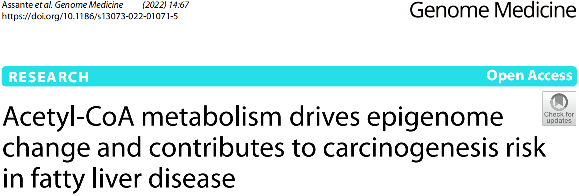乙酰辅酶A代谢可以驱动表观基因组改变并增加脂肪肝病人的致癌风险