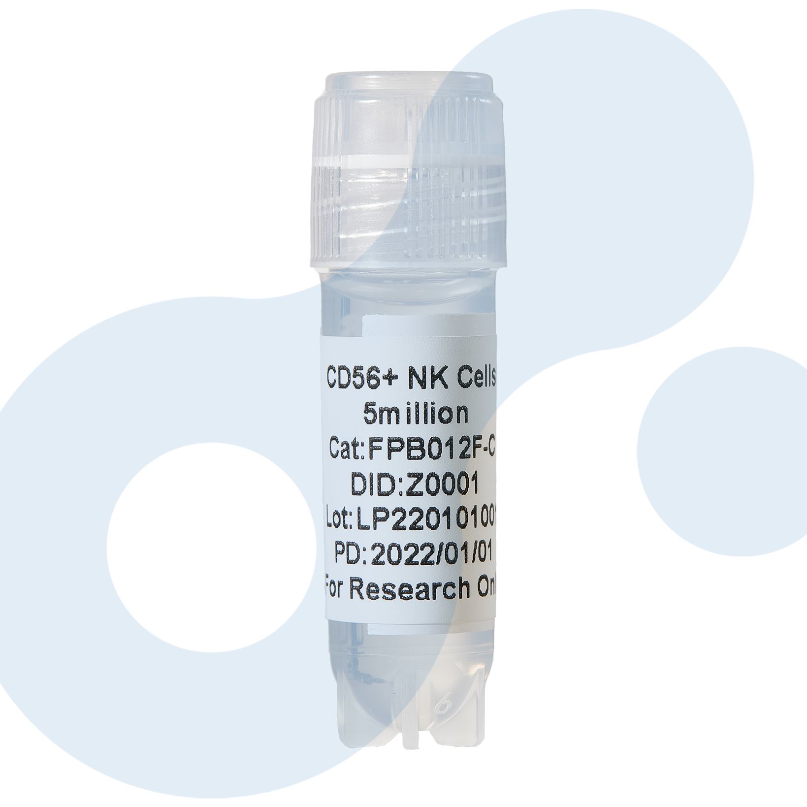 CD56 分离服务 | CD56+ NK细胞 | 人CD56细胞 | 分选CD56细胞
