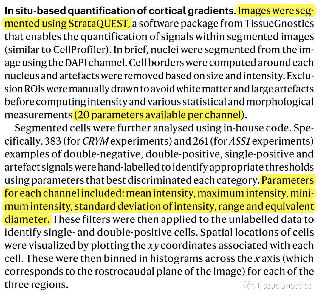 Nature| TissueFAXS Q+助力灵长类动物中间神经元的新发现